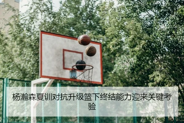 杨瀚森夏训对抗升级篮下终结能力迎来关键考验